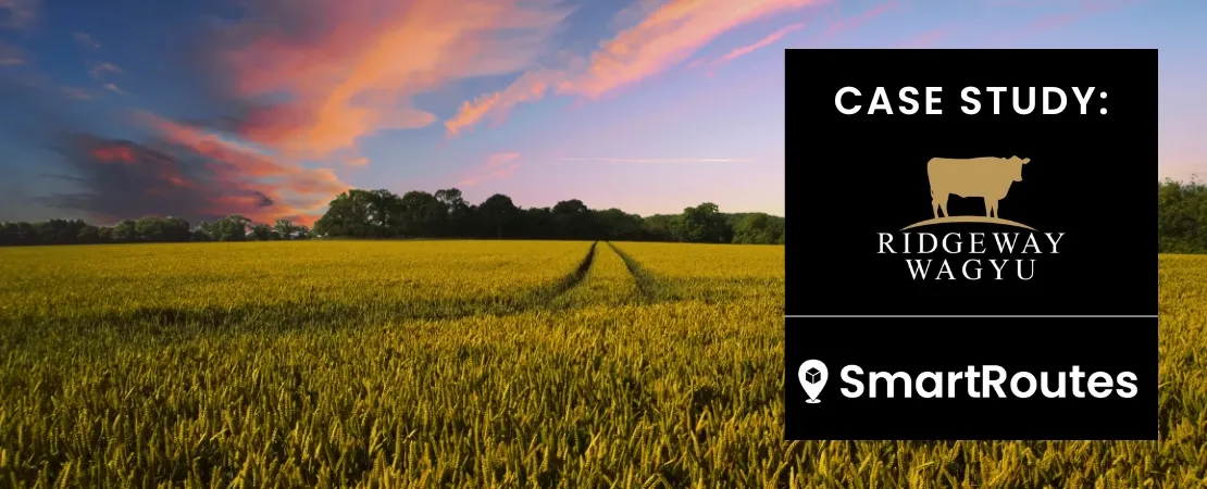 eCommerce Delivery: Case Study