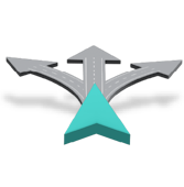 Driver navigation image